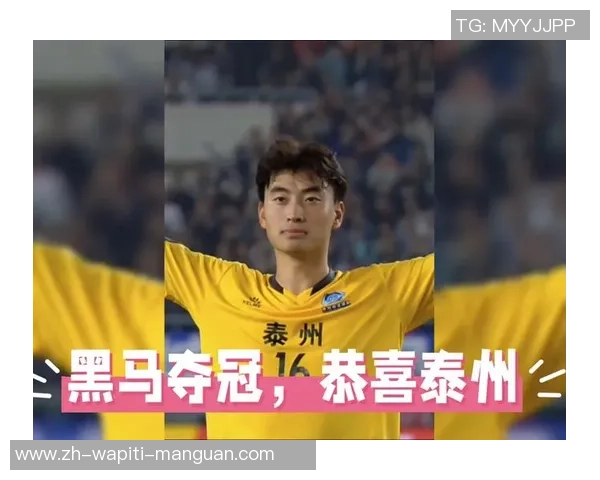 泰州队打败南通队夺得苏超冠军，观赛人数再创历史纪录